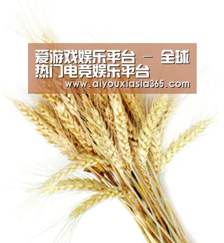 爱游戏娱乐平台 - 全球热门电竞娱乐平台