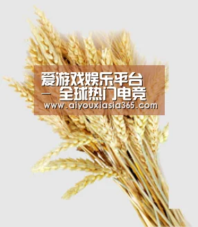 爱游戏娱乐平台 - 全球热门电竞娱乐平台